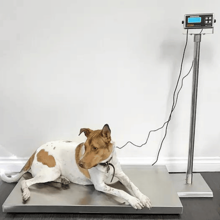 TUFNER T922-12043 | VET SCALE | 1,000 LBS. X 0.2 LB